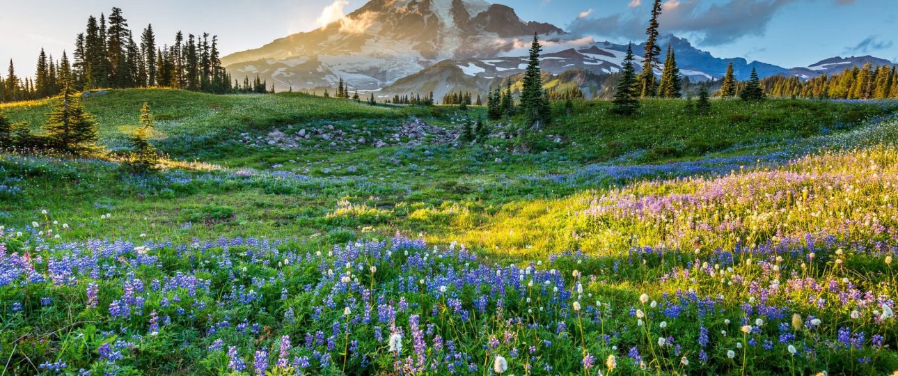 Spectacular National Parks in The US