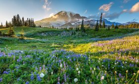 Spectacular National Parks in The US