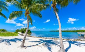 Wonderful Beaches in Florida Keys